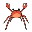 Crab_Dance