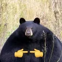 __