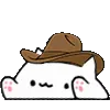 cowboybongocat