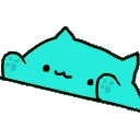 bongocathyper