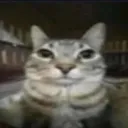luafr