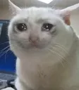Sadcat Discord Emoji