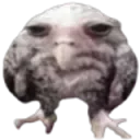 sowa