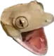 SCREEeeE