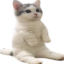 elgato Discord emoji