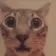 shock