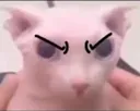 madbingus