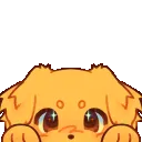 2r_puppypeek 2r_puppypeek