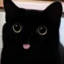 blalckcar_bwee