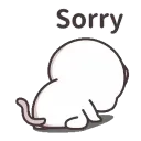 sorry