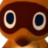 stare