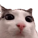 plink