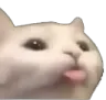 bleb