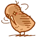 kiwishocked kiwishocked