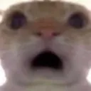 emoji_19