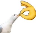 shut