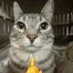 mewing