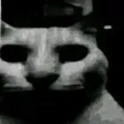 katzeHorror