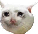 sadcade sadcade