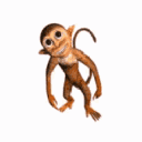 monkeykiss1