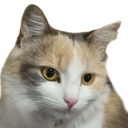 Cuddles Discord emoji
