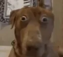Me_When_When_You