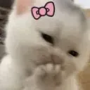 :0_emoji_496: 0_emoji_496