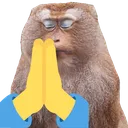 monkePray