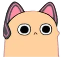 MomoiCatBald