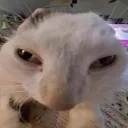 destroy