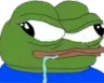 PepeDumb