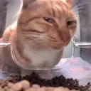 hmmm