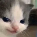 heh heh
