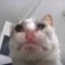 emoji_26