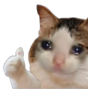 Sad_Cat_Thumbs_Up Discord emoji