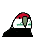 iraqparrot