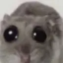 boba_hamster