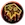 shamancog