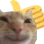 catThumbsUp catThumbsUp