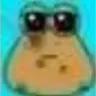 stupidfuckingpou