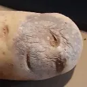 potato