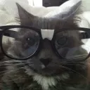 Nerd Cat Discord Emoji