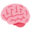 brain brain