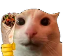 catHandingYouAKebab