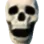 Skullwhatdahell