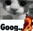 goog_2
