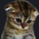 Catsad catsad Discord Emoji