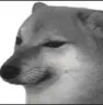sad_dog
