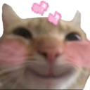 CC_Cat_LoveHappy Discord sticker | INFERNO