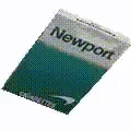newports